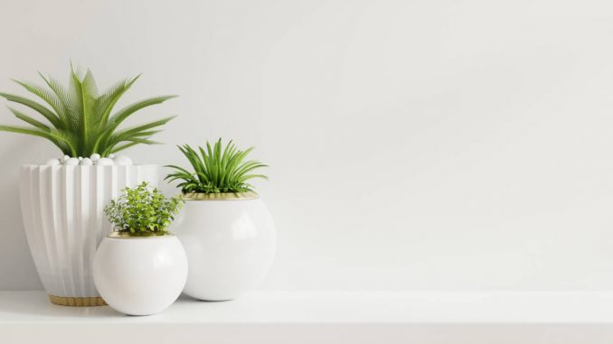 Blombord – Ta hand om dina växter