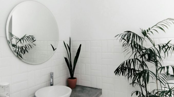 Tips för att renovera ditt badrum på en budget illustration